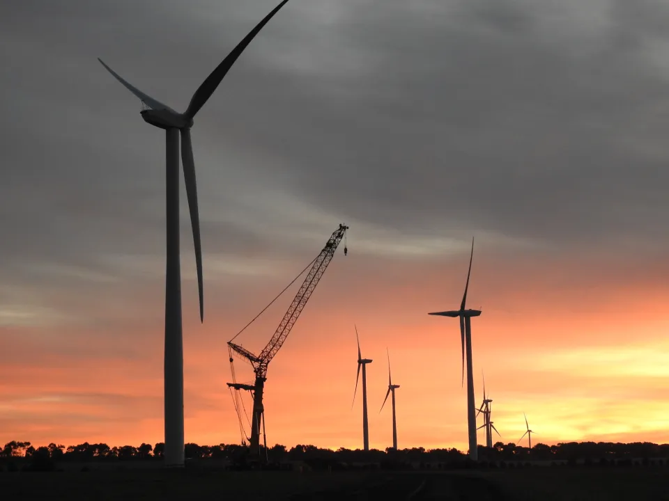 Mercer sunrise crane 2